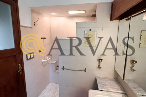 Vuelta de Obligado 1779
