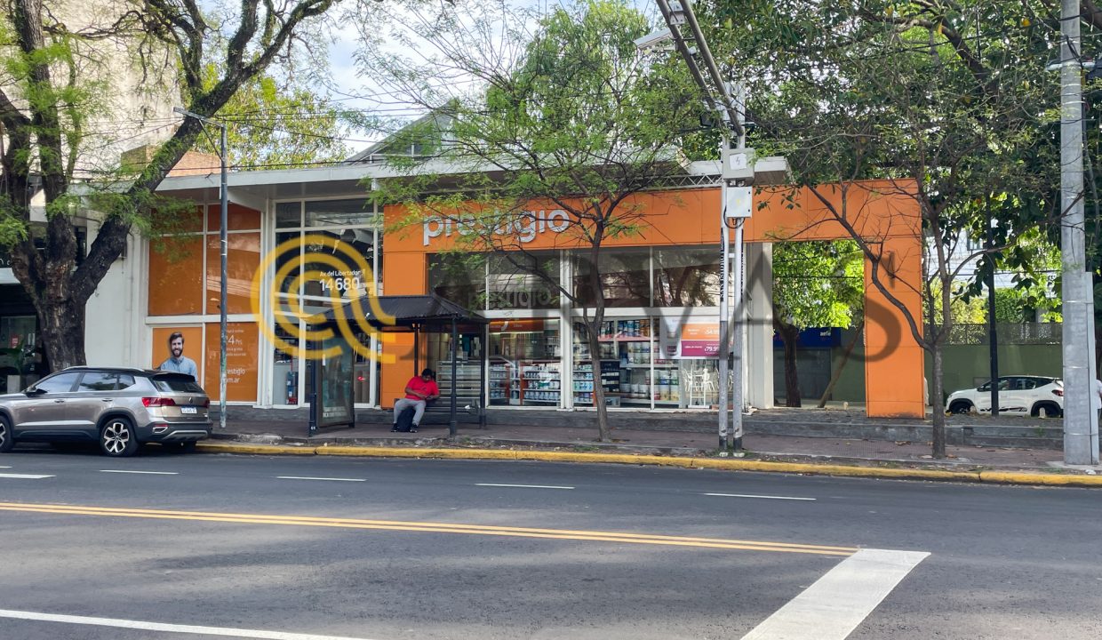 Av. del Libertador 14680