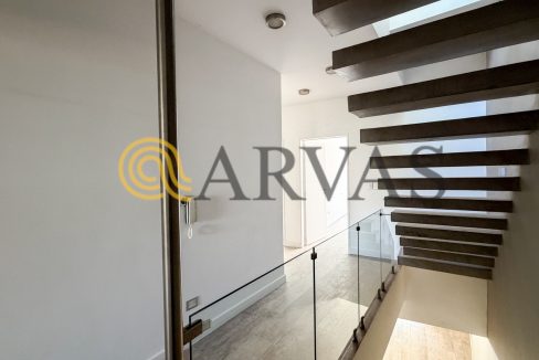 Arias 2090
