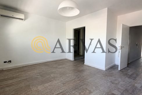 Arias 2090