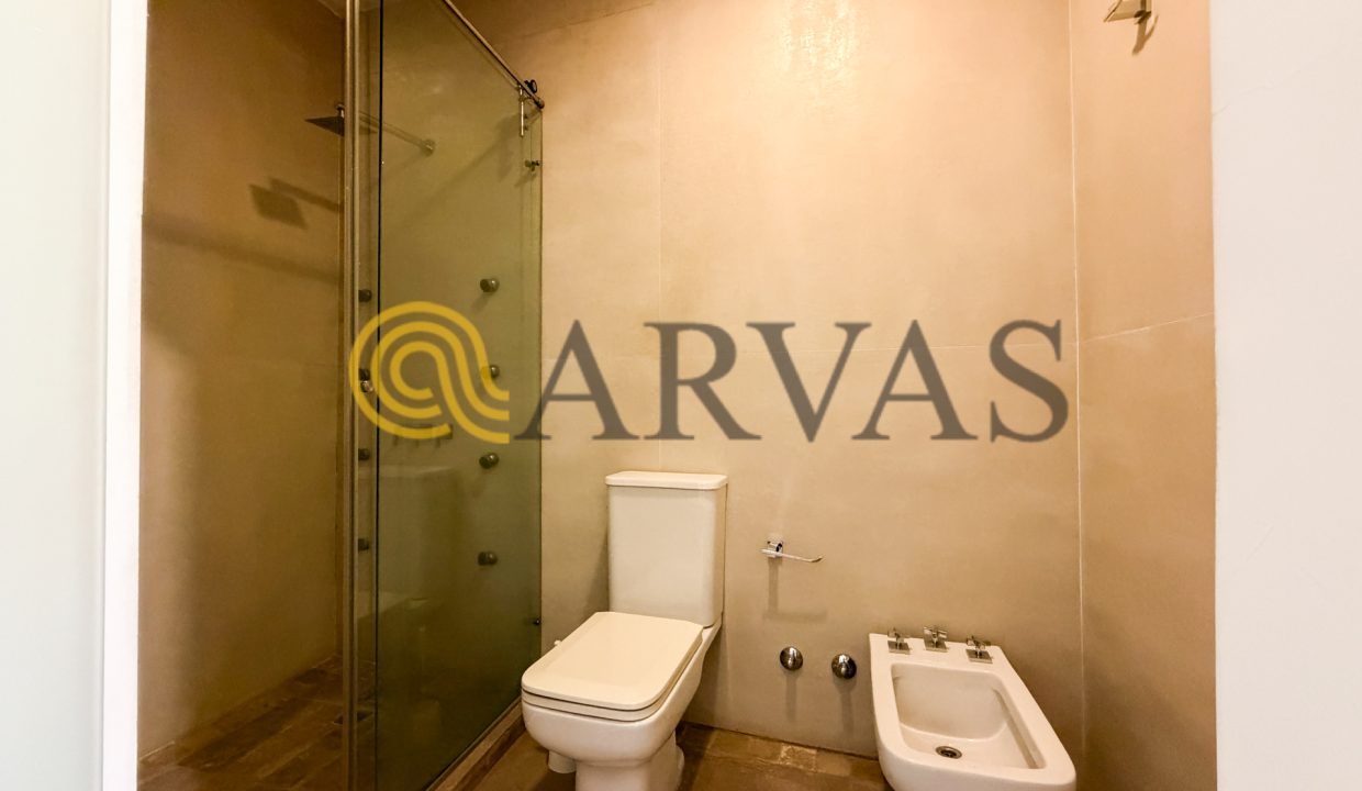 Arias 2090