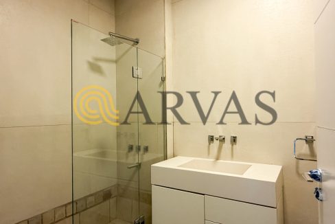 Arias 2090