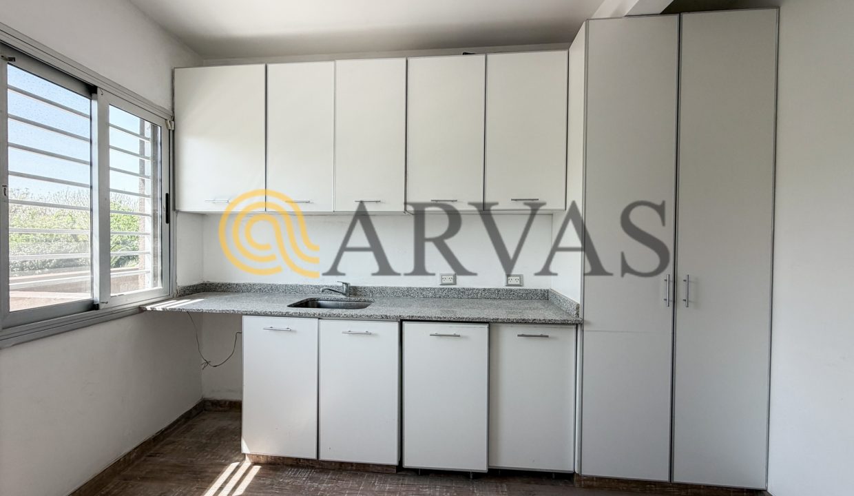 Arias 2090
